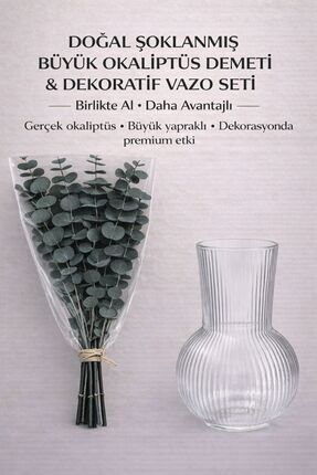 Bontia Şoklanmış Gerçek Okaliptüs Demeti– 4 Ana Dal + Yan Dallı Büyük Demet O...