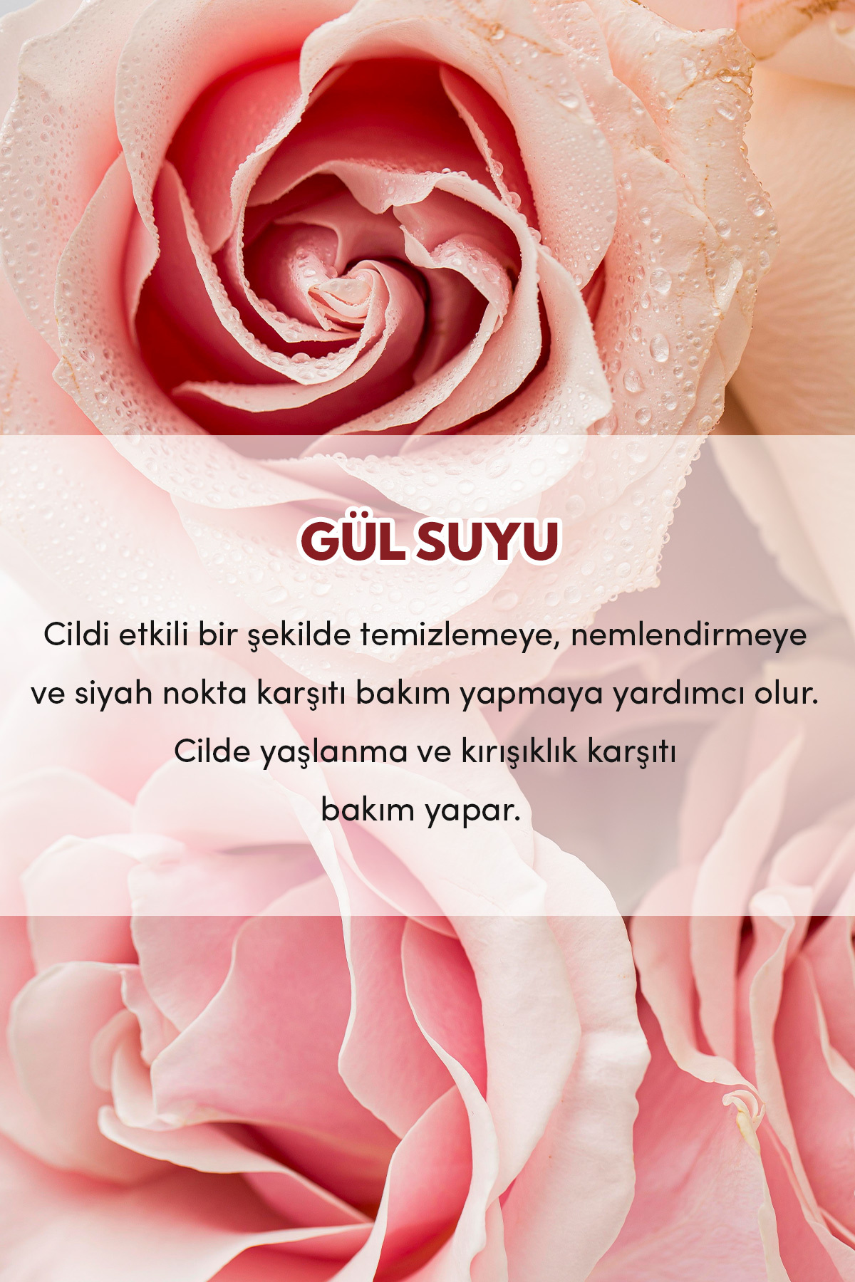 Premium Gül Suyu 200 ml — 8684215391706 — تصویر 3 از 5