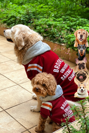 salya store Bordo köpek sweatshirt brooklyn, küçük, orta ve büyük ırk köpek k...