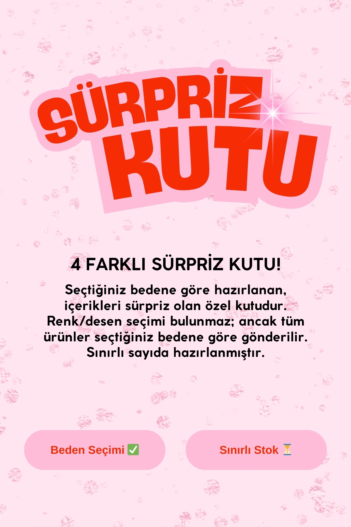 The Champ Clothing Kadın 5’li Eşofman Altı + Kapüşonlu + Sweatshirt + 2 Tişört PAKET, Renk/Baskı Karışık görsel 2