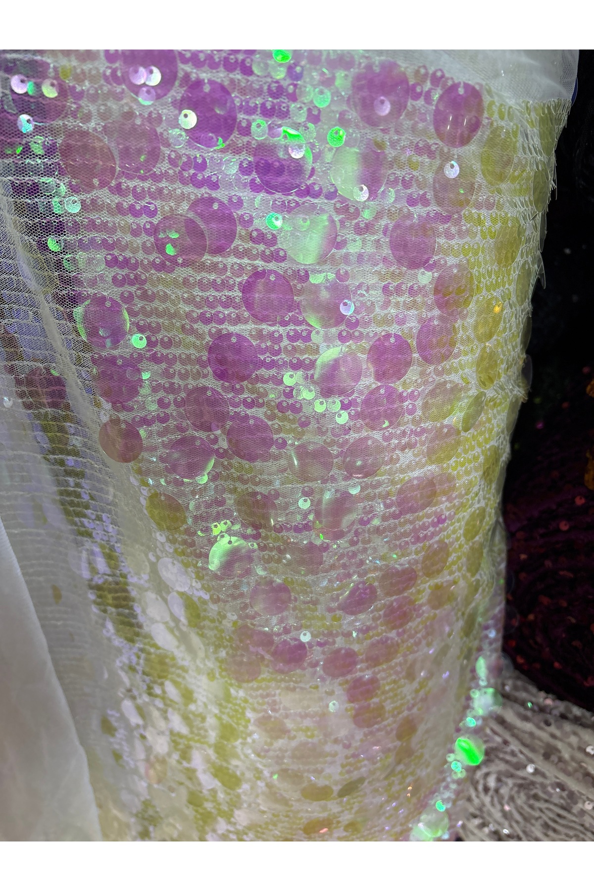 COIN FLAKE HOLOGRAM