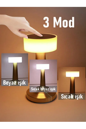 TDM Silver dokunmatik masa lambası 3 renk