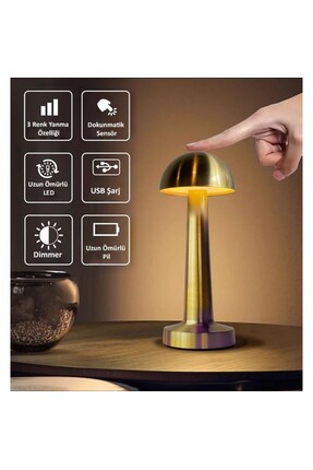 TDM Marco SİLVER Kasa Mantar Masa Lambası Dimli 3 Renk