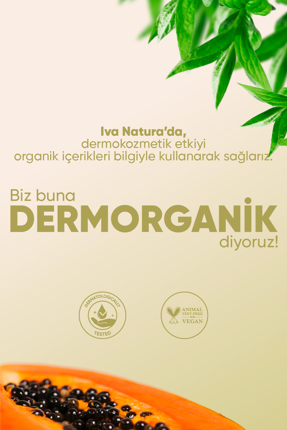 Dermorganik Mevsimsel Denge Cilt Bakım, Arındırıcı,Gözenek Sıkılaştırıcı 3'lü Ritüel — Set1 — تصویر 6 از 6