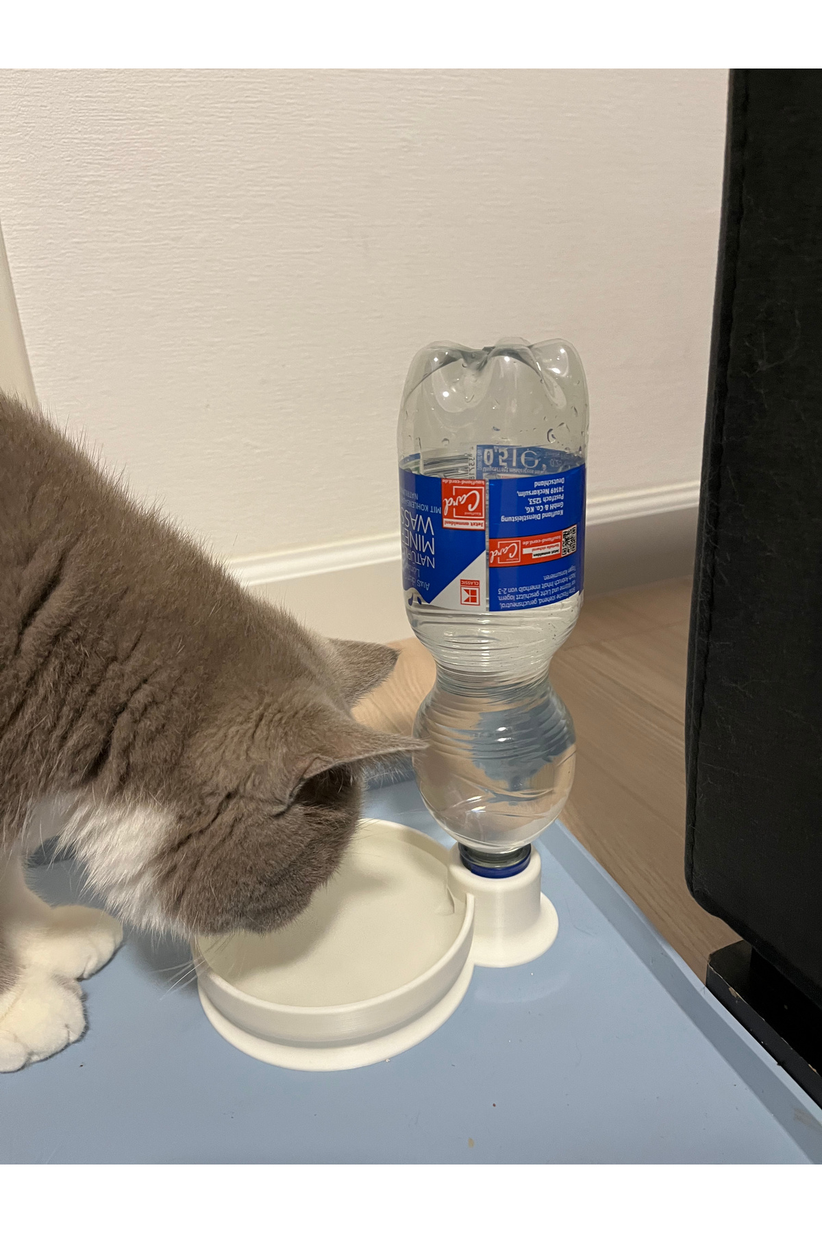 Della Otomatik Suluk /Mama Kabı – El Yapımı Evcil Hayvan Kabı mor fotoğrafı 2 (önizleme)