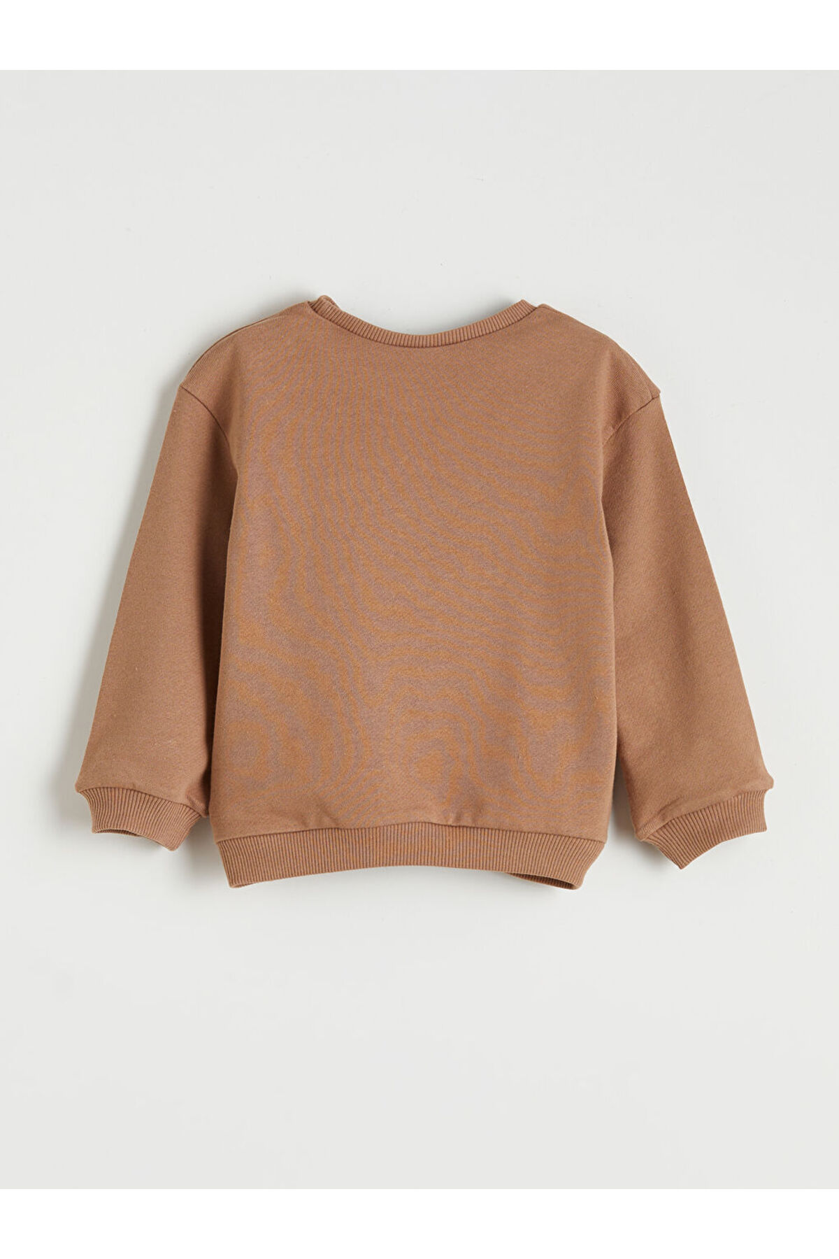 LC Waikiki GiyÇık Store den Kahverengi Baskılı Erkek Bebek Sweatshirt fotoğrafı 3 (önizleme)