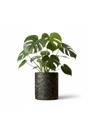 rilind Altın Detaylı Siyah El Yapımı Taş Tozu Dekoratif Saksı – Lüks Modern T...