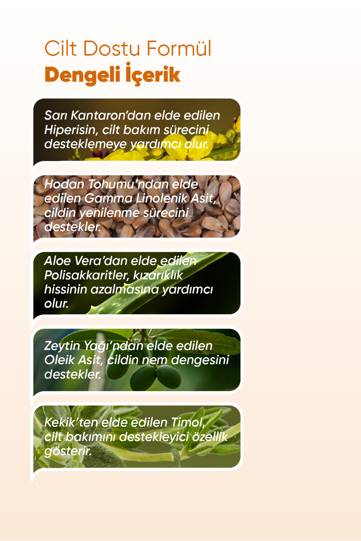 Iva Natura Organik Sertifikalı %98 Doğal Onarıcı Ve Önleyici Bebek Pişik Kremi Sarı Kantaron Özlü 75ml fotoğrafı 4 (önizleme)