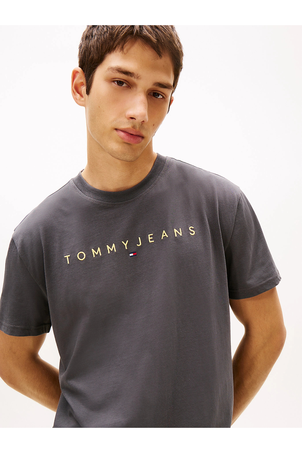 Tommy Hilfiger  Erkek Gri Regular Fit T-Shirt - Görsel 4