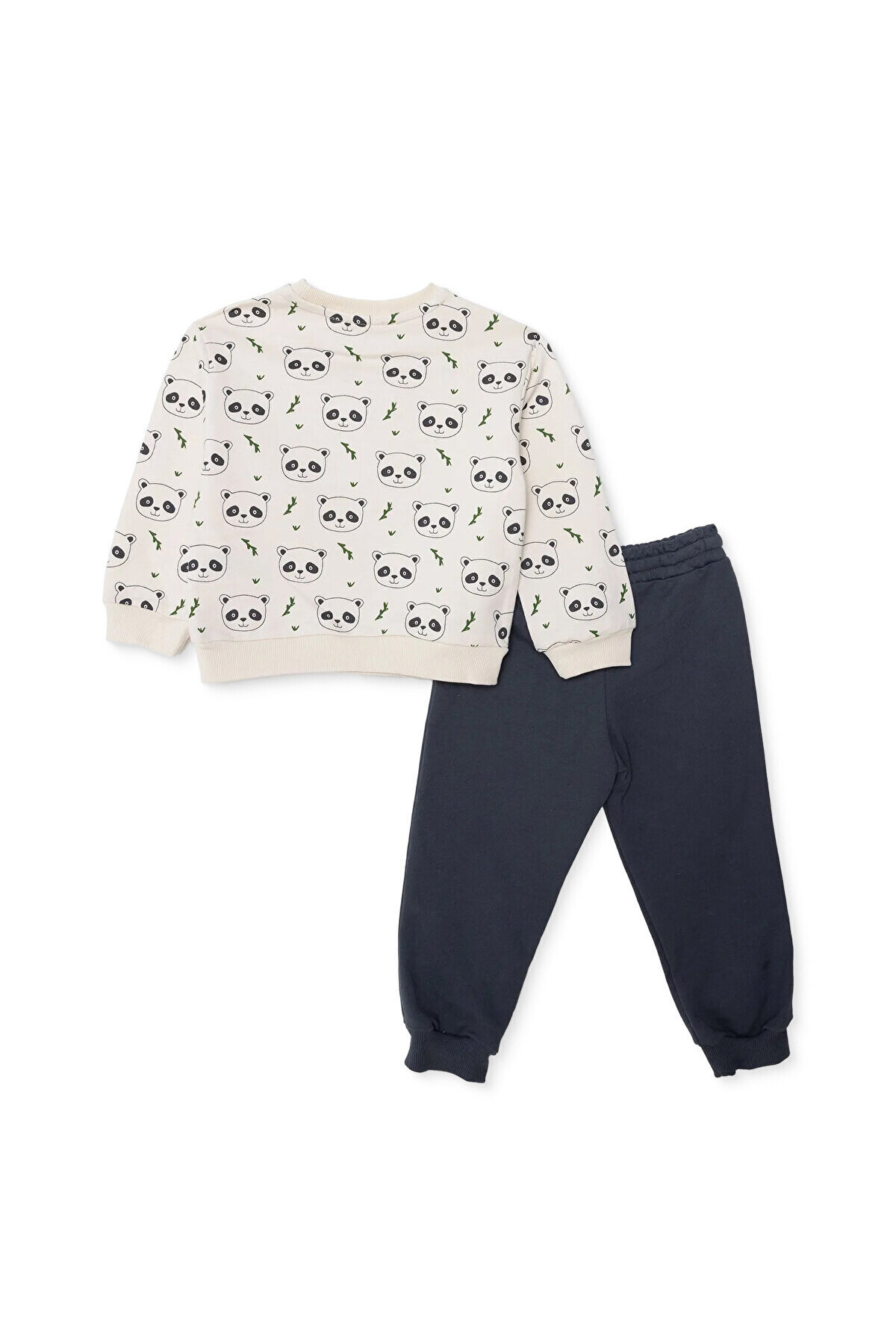 ebebek Hello Baby HelloBaby HelloBaby Erkek Bebek Eşofman Takımı Hayvan Baskılı Bağcıklı Crew Neck Uzun Paça Uzun Kol fotoğrafı 2 (önizleme)