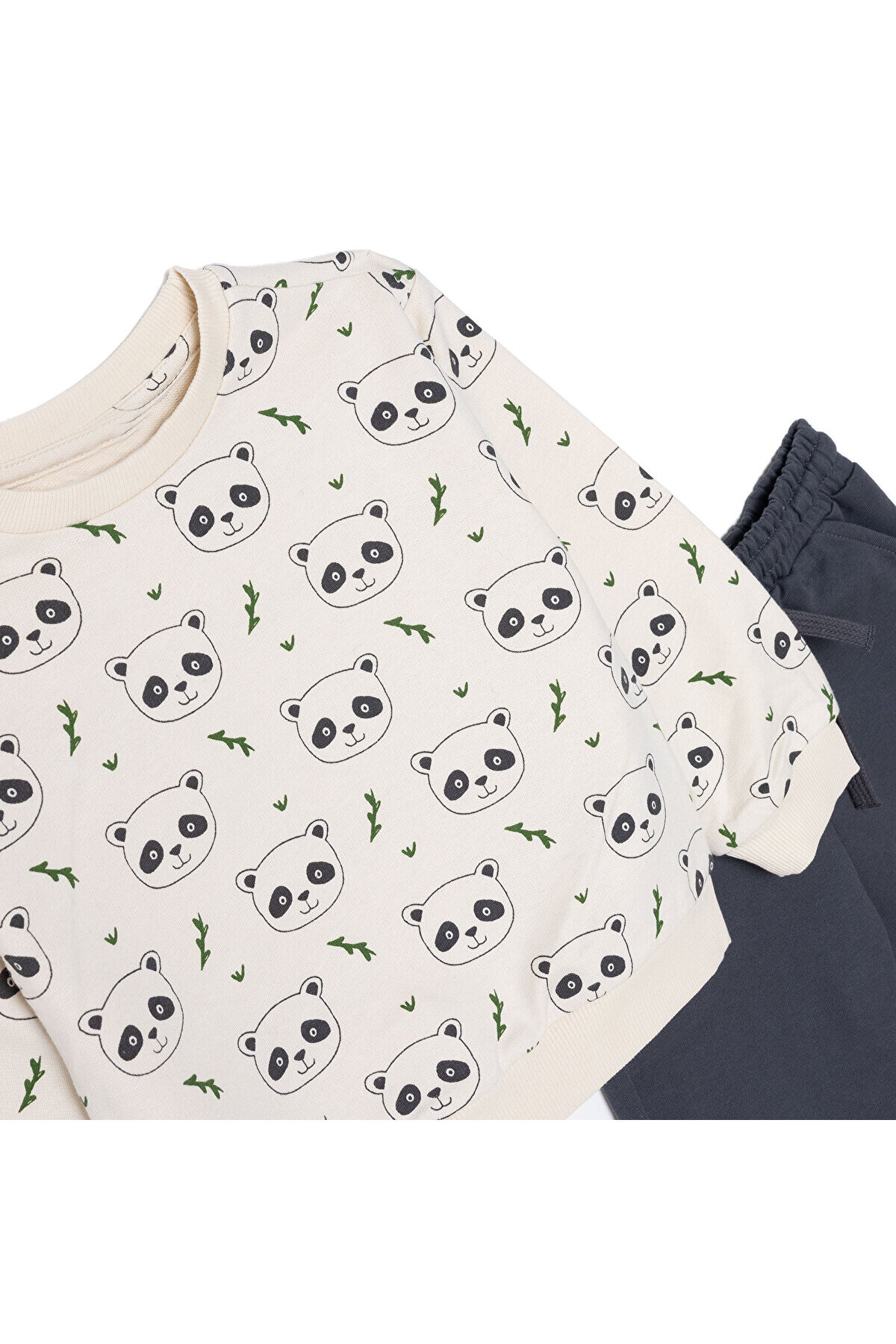 ebebek Hello Baby HelloBaby HelloBaby Erkek Bebek Eşofman Takımı Hayvan Baskılı Bağcıklı Crew Neck Uzun Paça Uzun Kol fotoğrafı 3 (önizleme)