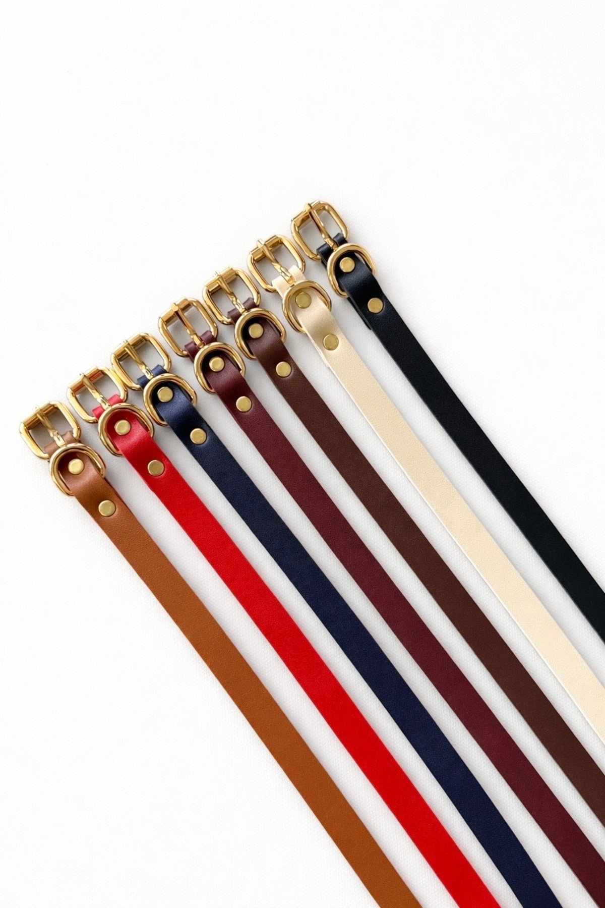 coaksco  Kadın Basic 7'li Gold Toka Kemer Set - Görsel 2