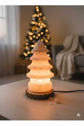 ACEMTUZLAMBA ACEM TUZ ÇAM AĞACI MODELİ TUZ LAMBA