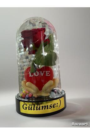 ÖZAY HOBİ EVİ Cam Fanus İçinde Işıklı Gül ve Ayıcık Dekoratif Biblo Sevgiliye...