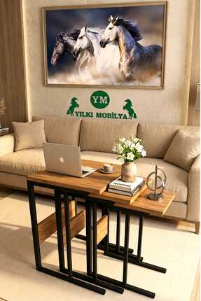 Yılkı Mobilya Eko C Zigon Sehpa Atlantik Çam / Siyah