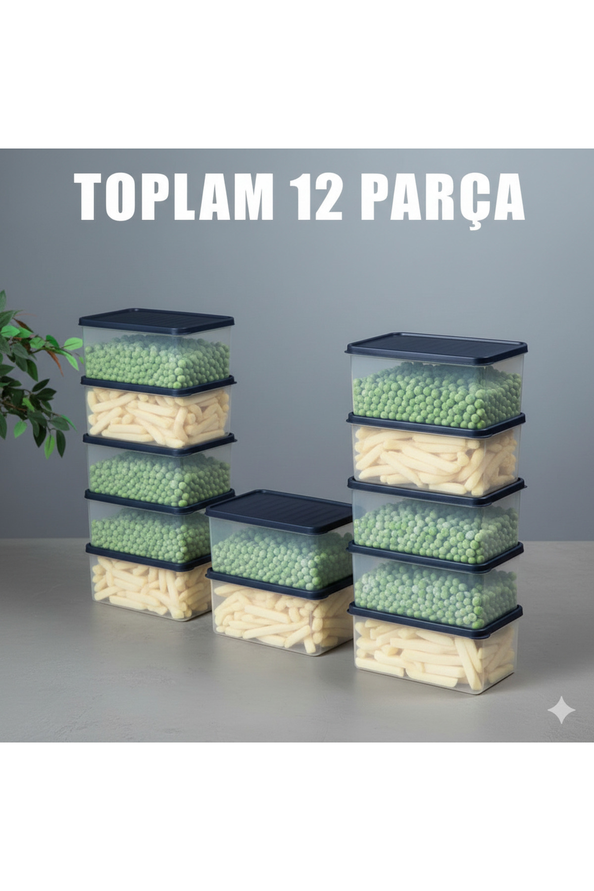 Buzdolabı Saklama Kabı/Derin Donduruya Uygun (12*2L)