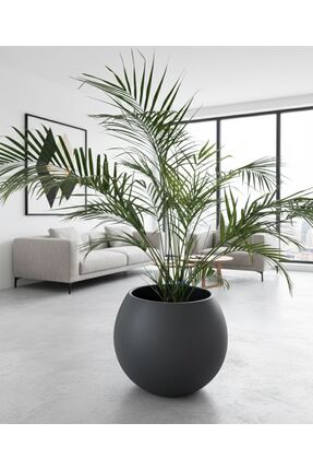 esm vase Dekoratif Küre Antrasit İç Mekan Saksısı 35x42cm