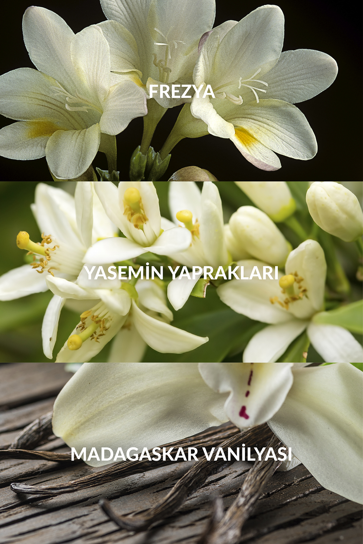 Far Away Kadın Parfüm Edp 30 Ml. 2li Set — سفید PARFUM0203-2 — تصویر 5 از 7