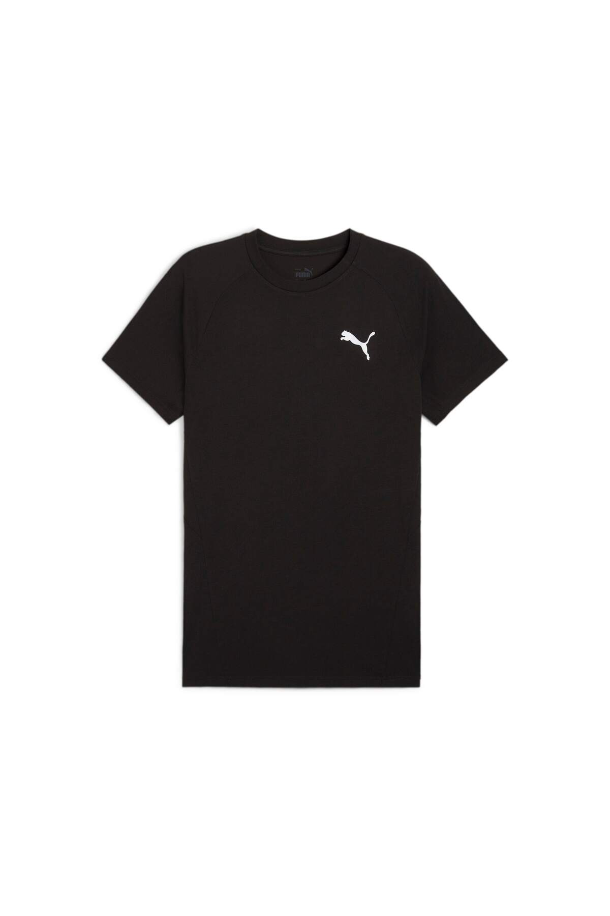 هارلی دیویدسون تی شرت مردانه بزرگسال Evostripe Tee