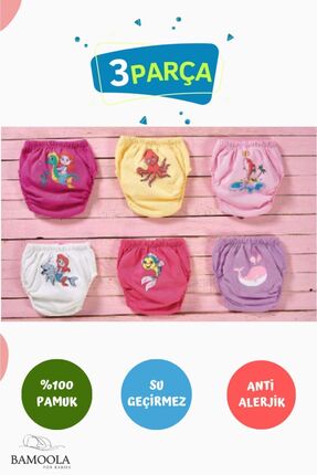 Bamoola 3 Adet Lüx Kız ( 3 - 4 Yaş) Çocuk Alıştırma Külodu Sızdırmaz (RENK VE...