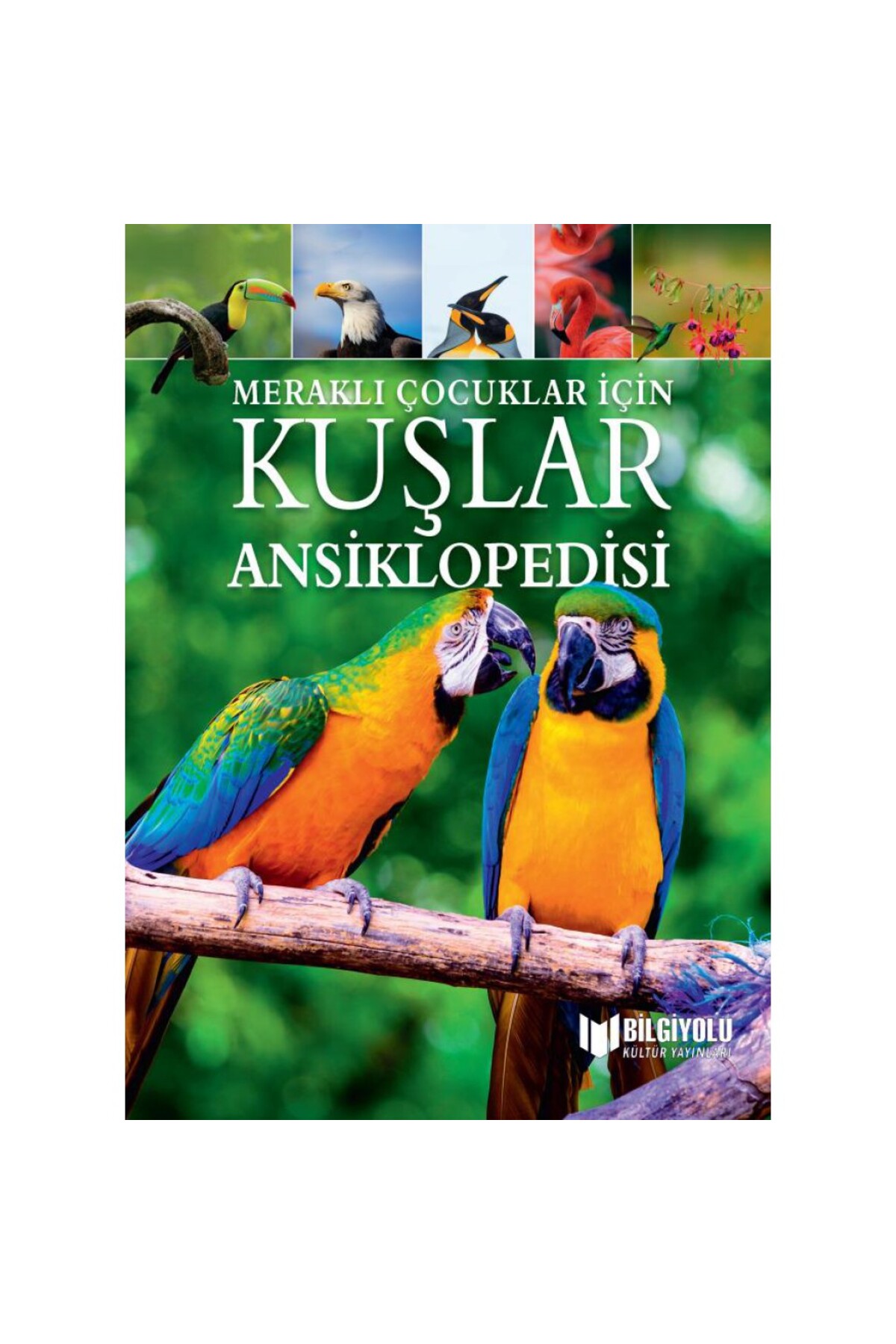 Merakli Bilgi Yolu Yayınları MERAKLI ÇOCUKLAR İÇİN KUŞLAR ANSİKLOPEDİSİ ...