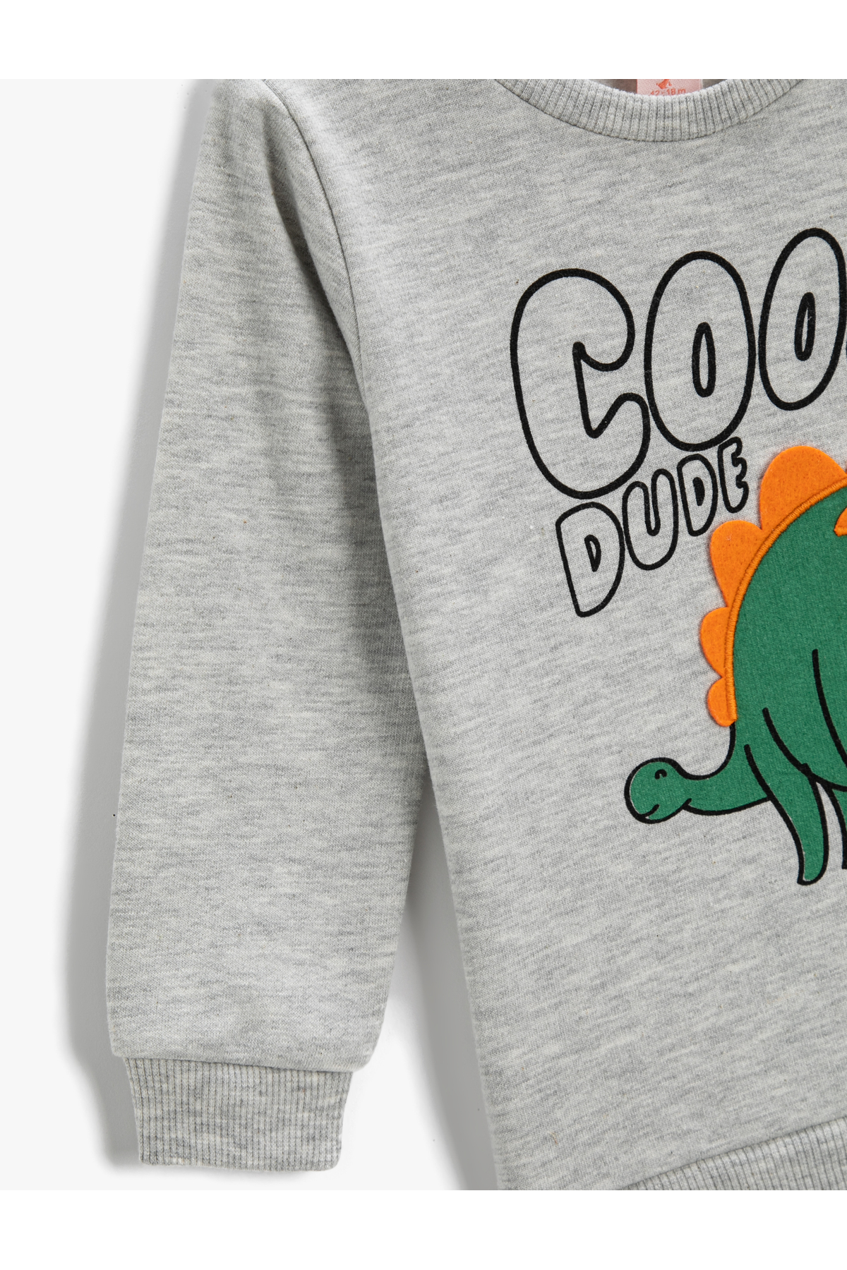 Koton Sweatshirt Baskılı Uzun Kollu Bisiklet Yaka fotoğrafı 3 (önizleme)