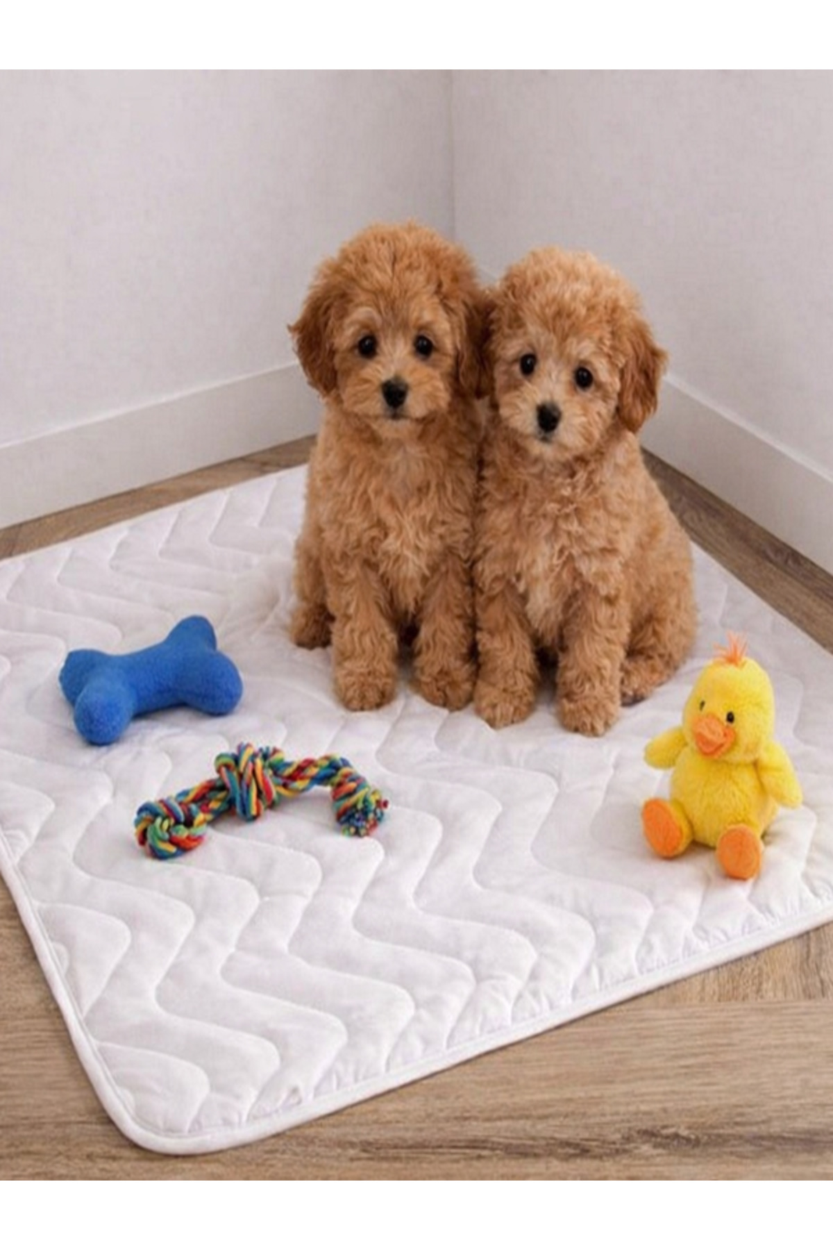 SUVAY Kedi Köpek Tavşan Çiş Pedi | Sıvı Geçirmez Yıkanabilir Emici | Hasta Bebek Alezi | 4 Ebat fotoğrafı 2 (önizleme)