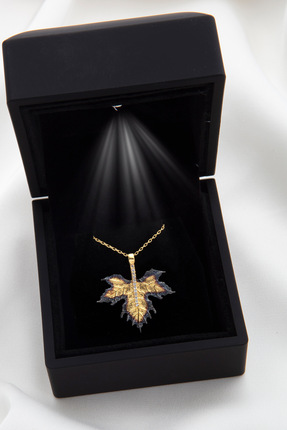 SARIASLAN Işıklı Kutuda Çınar Yaprak Gümüş Kolye 14 Ayar Altın Rengi