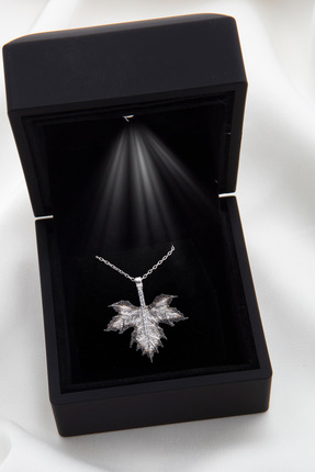 SARIASLAN Işıklı Kutuda Çınar Yaprak Gümüş Kolye Rodyumlu