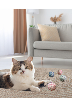 El örgüsü İpli top sesli kedi oyuncağı 4 adet