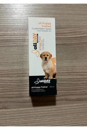 ALLDAY Tuvalet Eğitim Spreyi - all Puppy Trainer - Yavru köpek tuvalet eğitimi