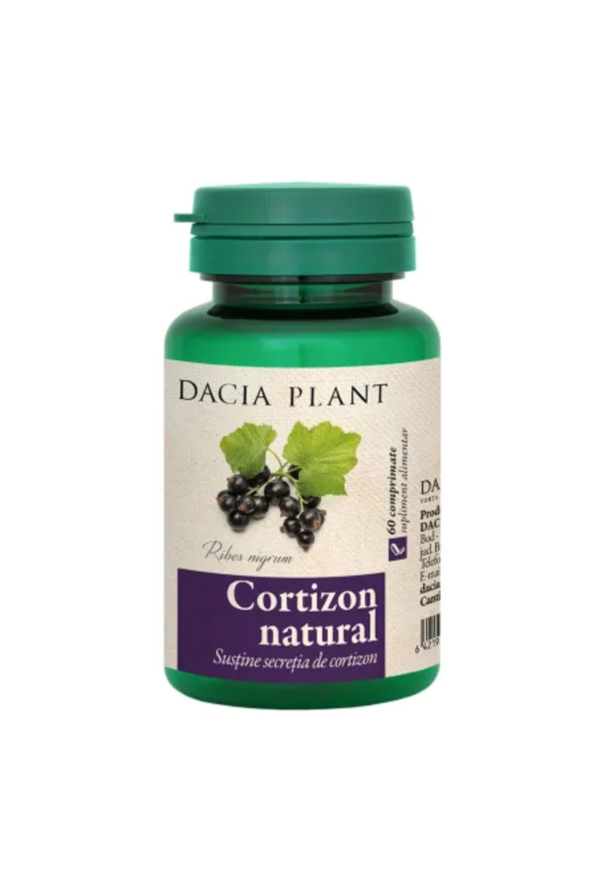 Dacia Plant Cortizon, Dietary Supplement for Reducing Allergy Discomfort,  60 Tablets,- Trendyol