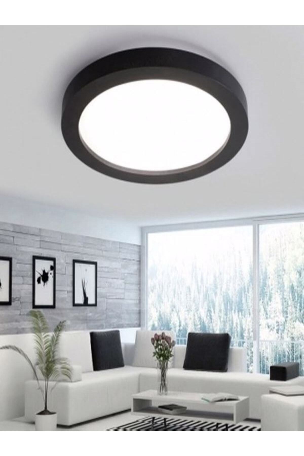 Led Ceiling Wc Pantry Office Lamp 24W Round Luminaire Surface Mounted Black Case White Light 6500K 220V