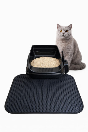 chittoshop Elekli Açık Kedi Tuvaleti + Kedi Kum Paspası + Kum Küreği Hediyeli...