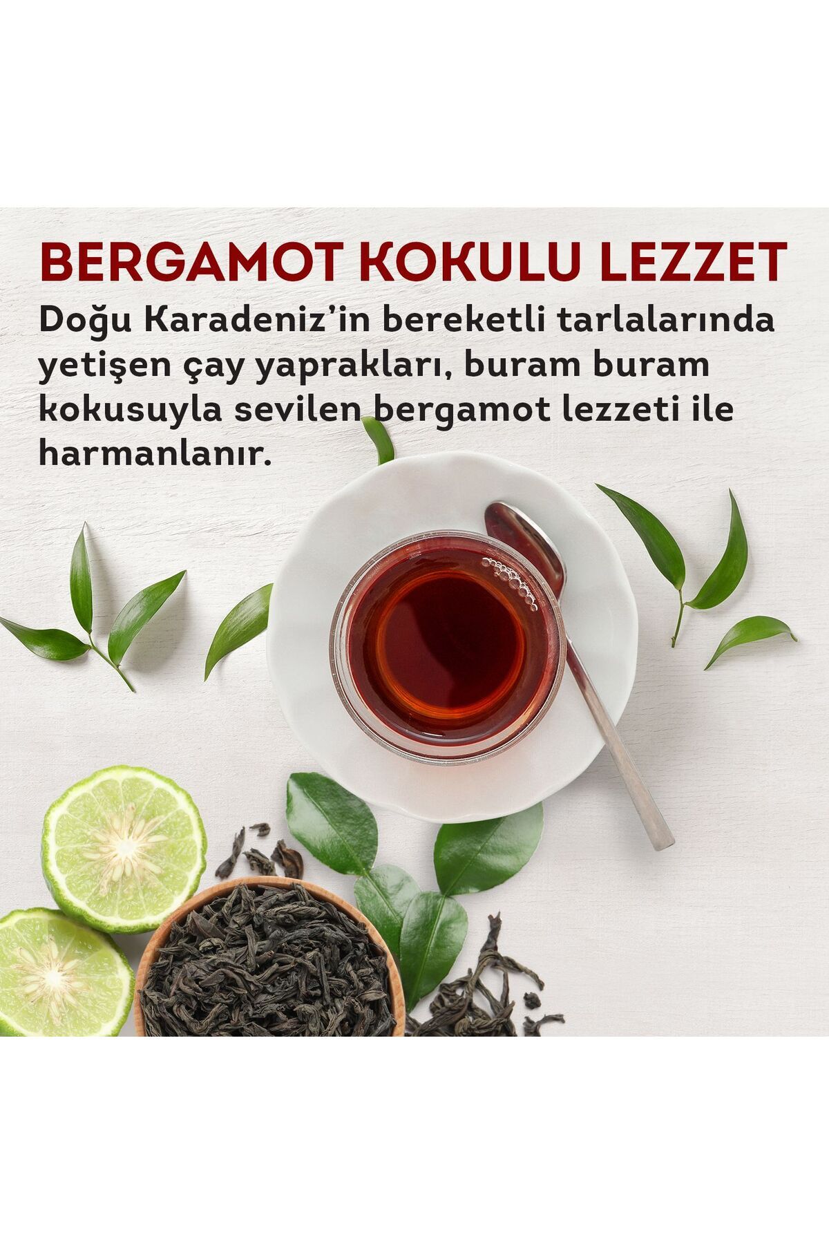 چای دم‌کردنی ارل گری 100 عددی x 3 بسته + ماگ هدیه