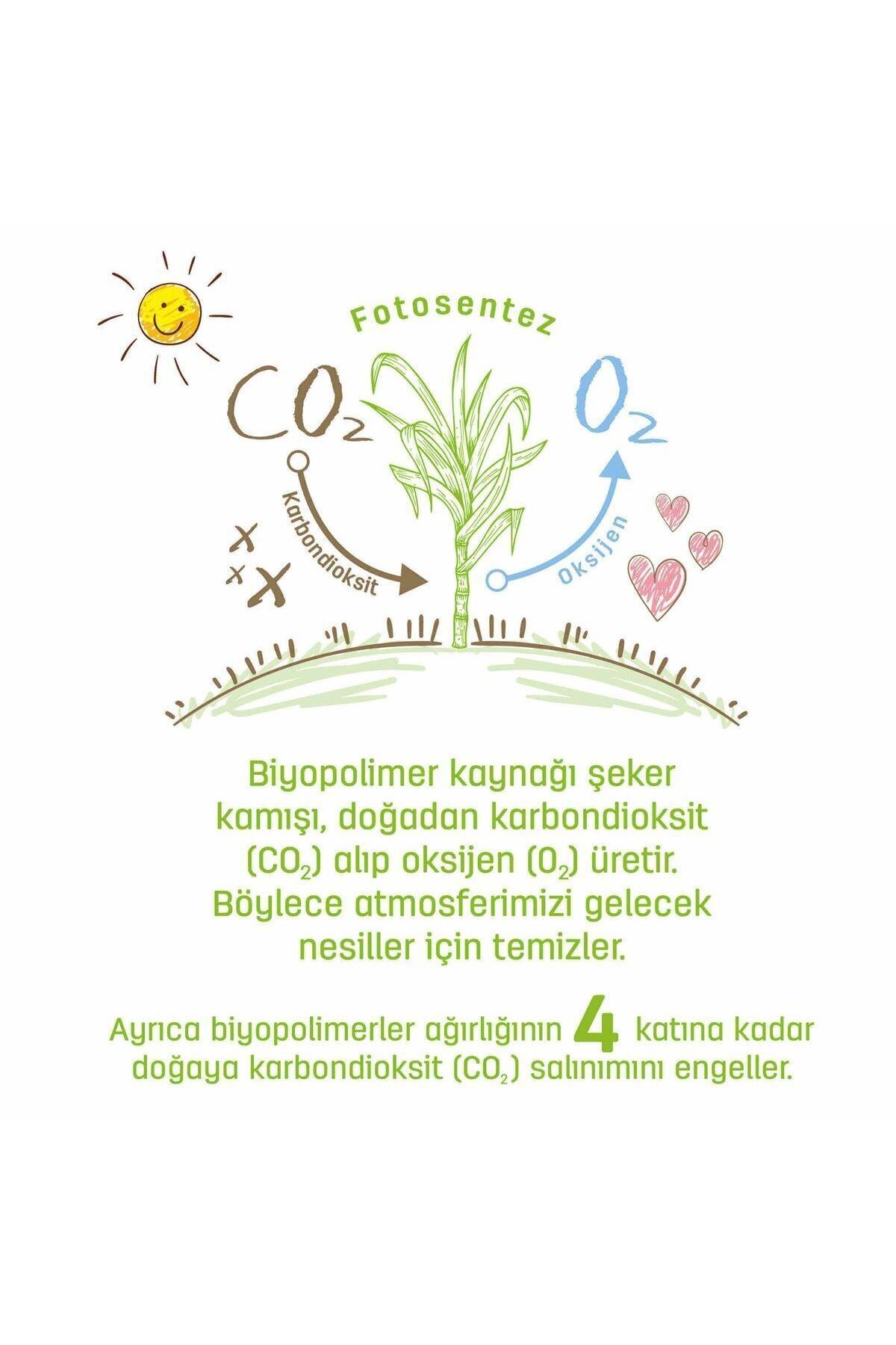 Sleepy Bio Natural Islak Havlu 24x40 (960 Yaprak) fotoğrafı 5 (önizleme)