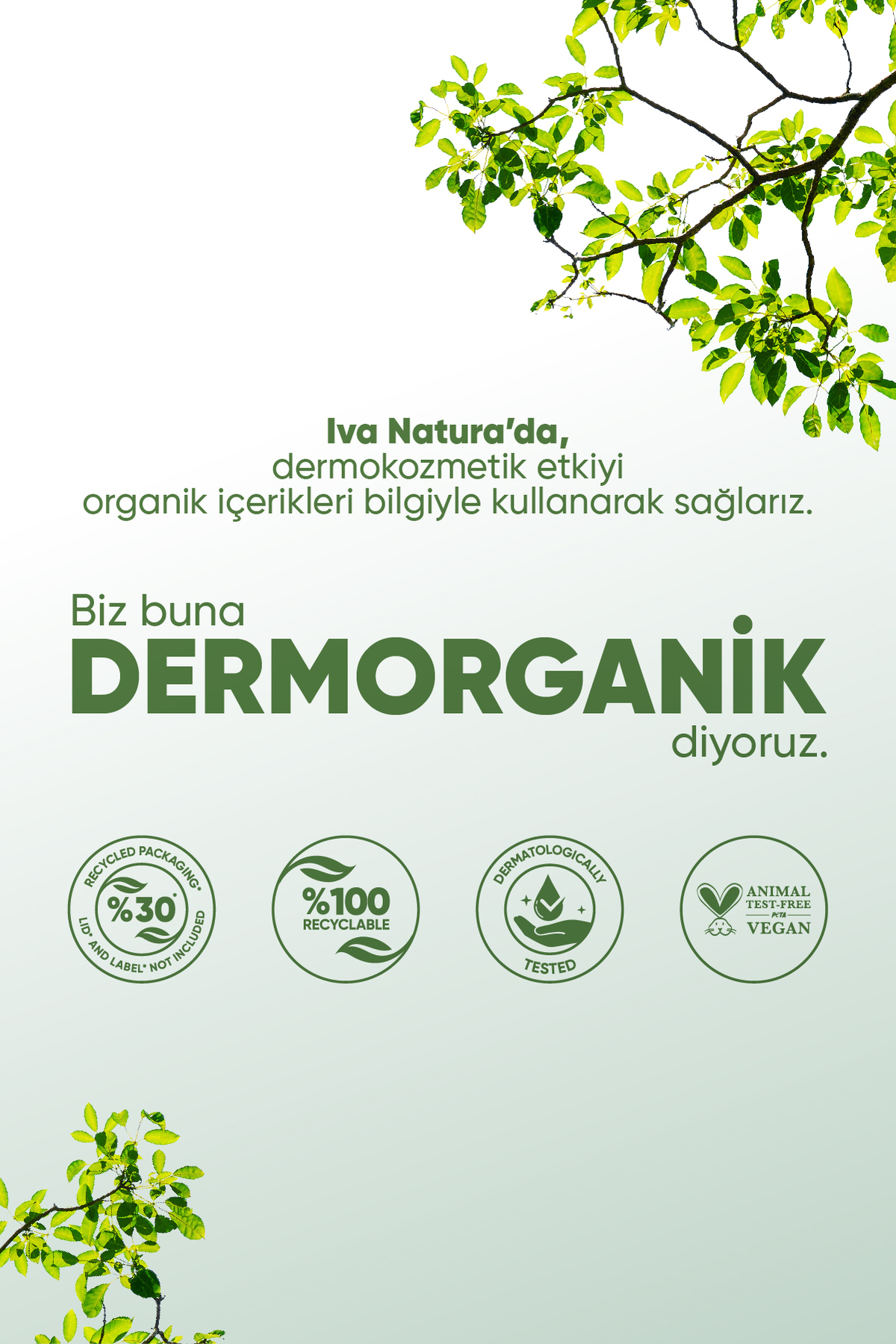 Green Face Shot - Frozen Face Essence 3'lü Set (ESSENCE BİLEKLİK HAVLU BUZ KALIBI) — Face Shot 3'lü set — تصویر 8 از 8