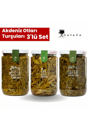 Havaza Akdeniz Otları Turşuları- Deniz Börülcesi Kaya Koruğu Yağlı Zahter 720...