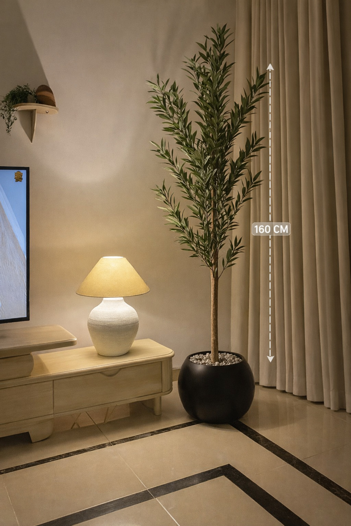 AMZOE شجرة زيتون بطول 160 بمركن مكور