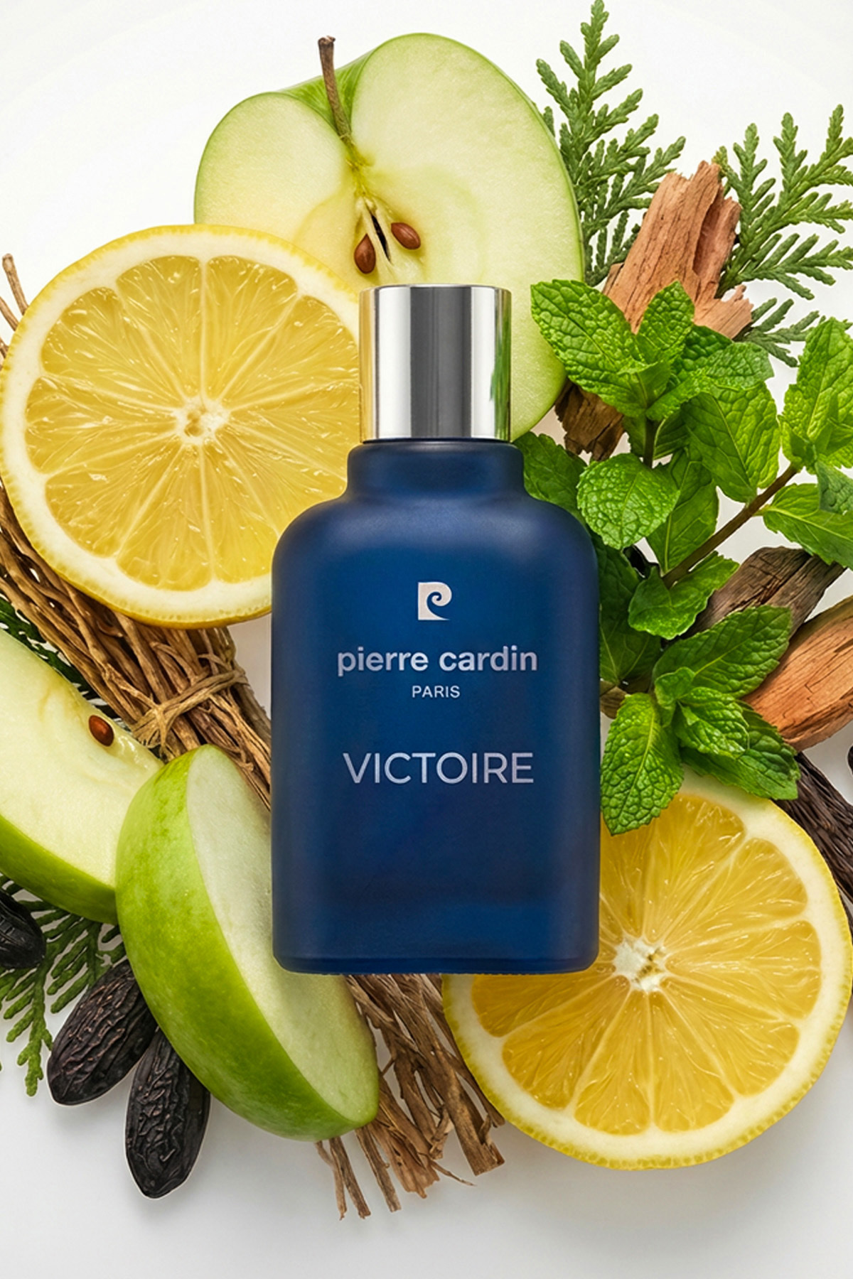 دئودورانت مردانه ویکتور | رایحه تازه و معطر | لیمو، سیب، نعناع، خس خس مردانه | پیر کاردین Pierre Cardin PCCN001901 - تصویر 3