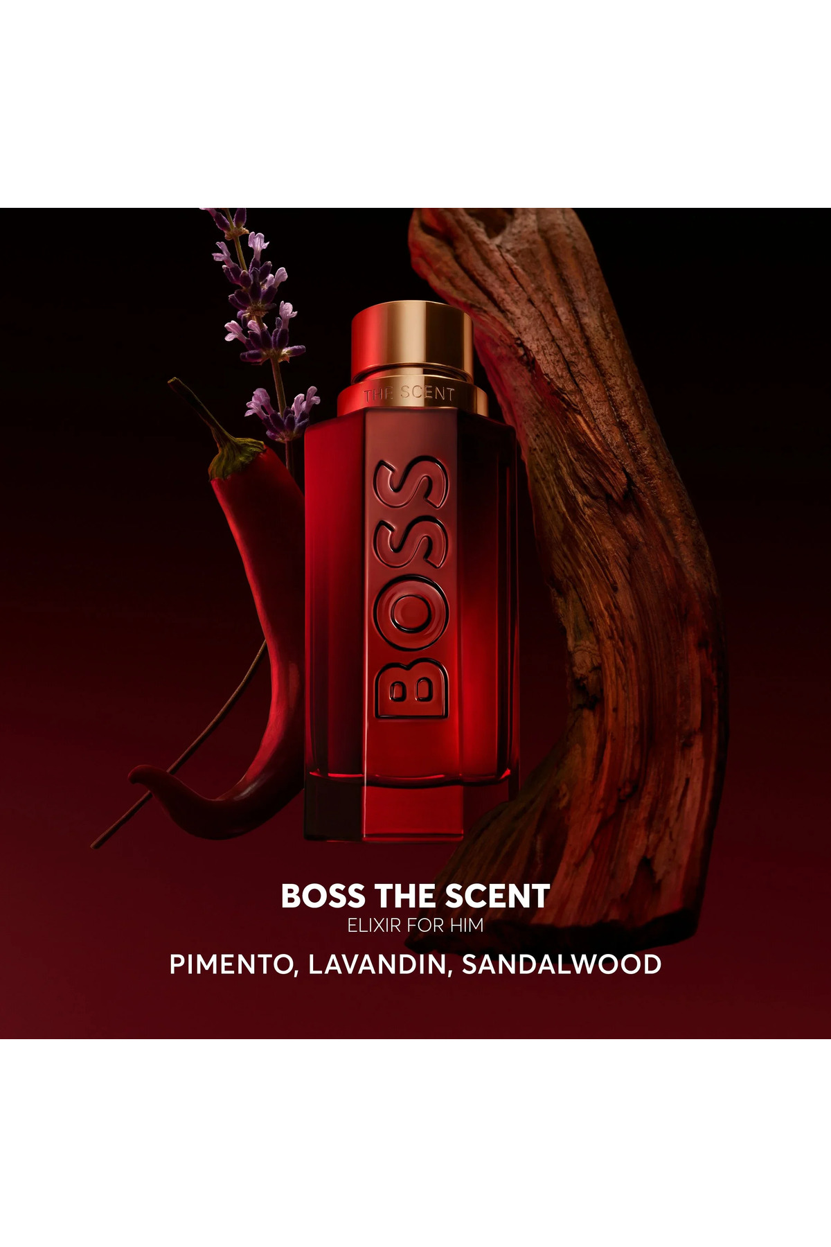 The Scent Elixir For Him 100 ml Erkek Parfüm + The Scent EDT 75 gr Deodorant Stick + Çanta Erkek Parfüm Set — VB-AR-AS-AT — تصویر 3 از 8