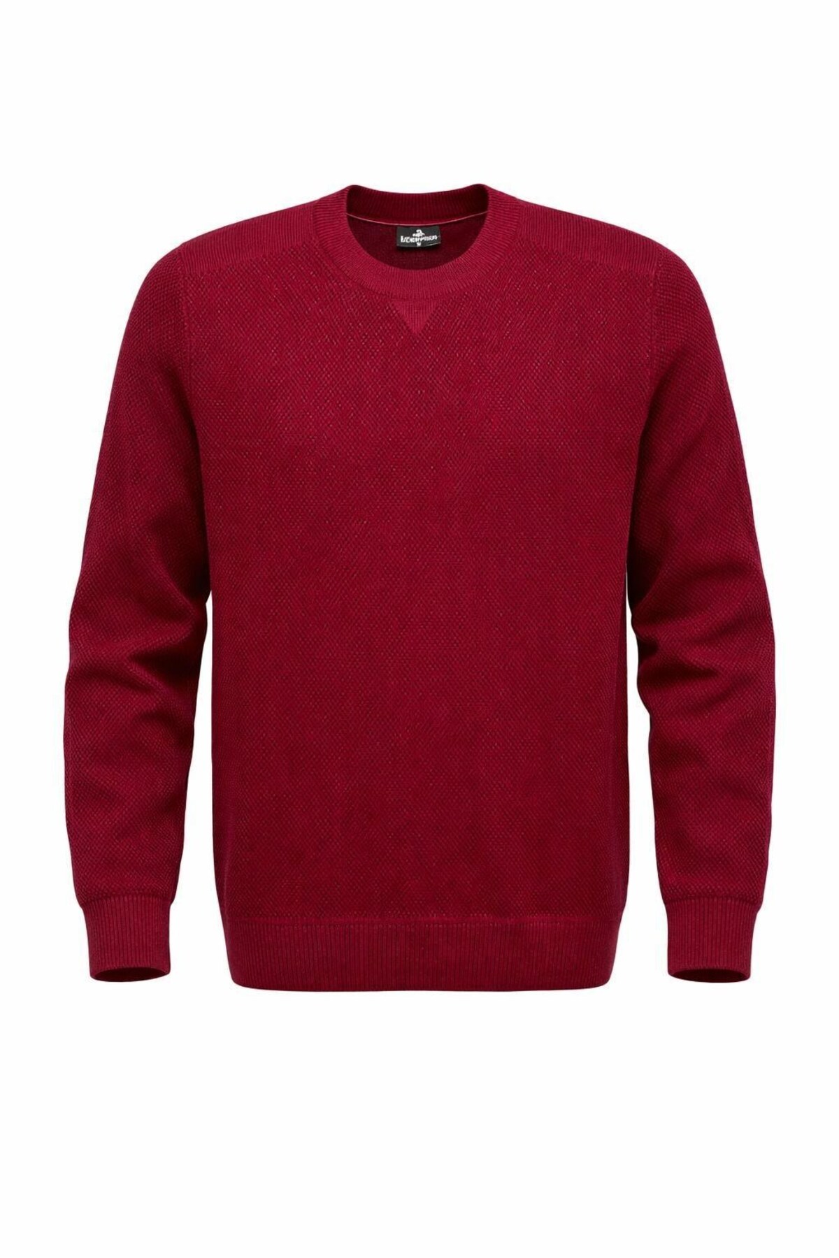 Erkek Triko Kazak – Bisiklet Yaka, Regular Fit, Dört Mevsim — زرشکی PRA-13523211-264325