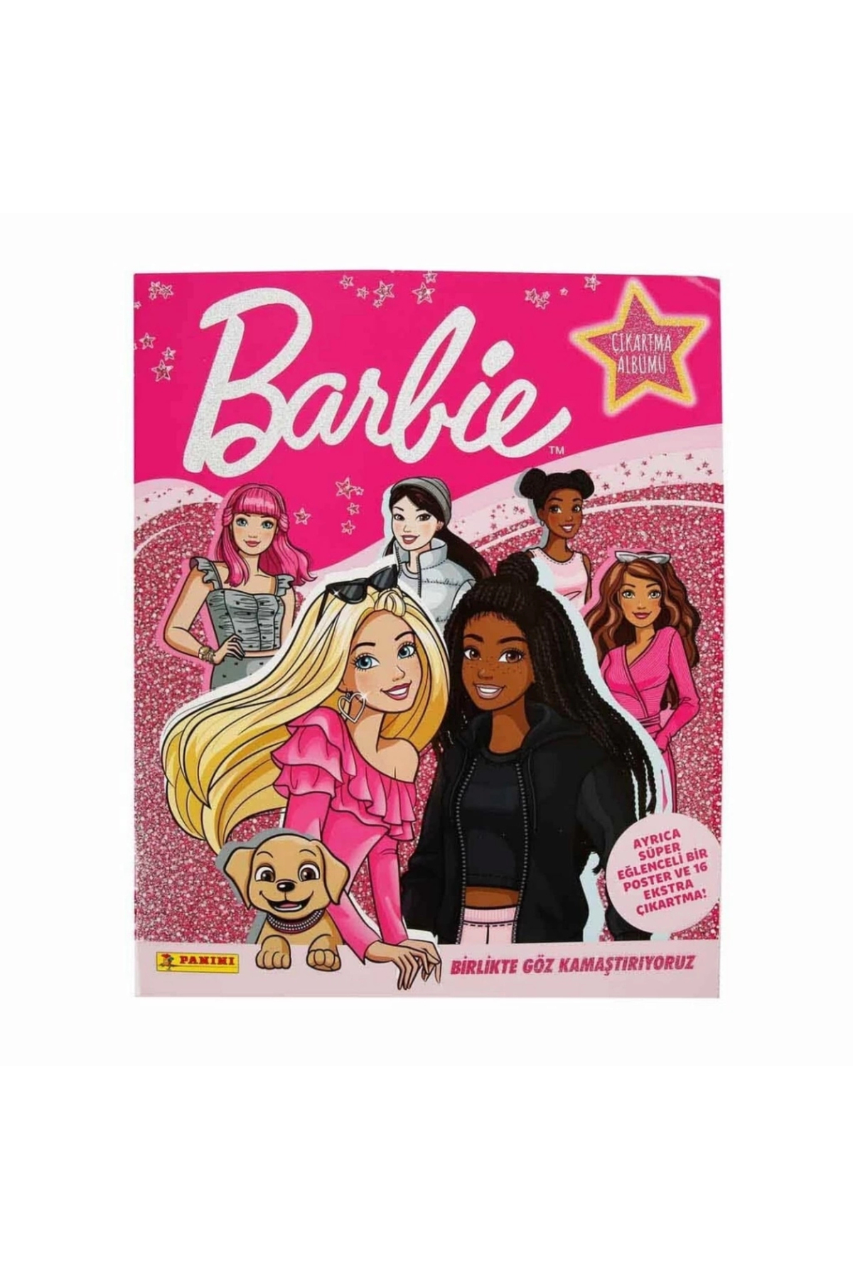 Genel Markalar BFS Barbie Çıkartma Albümü fotoğrafı 2 (önizleme)