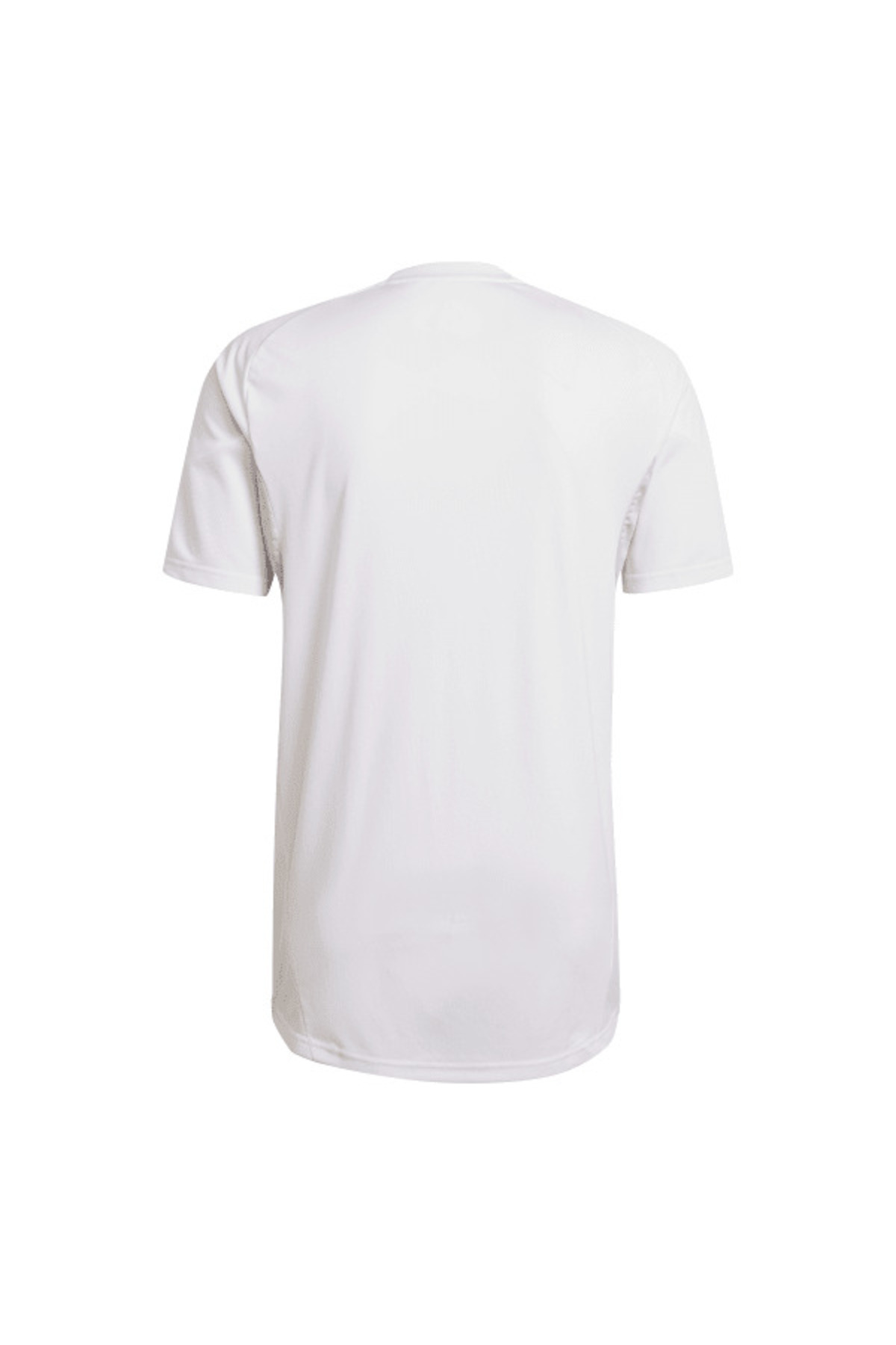 تیشرت مردانه راسته | آدیداس adidas JJ1519 - تصویر 6