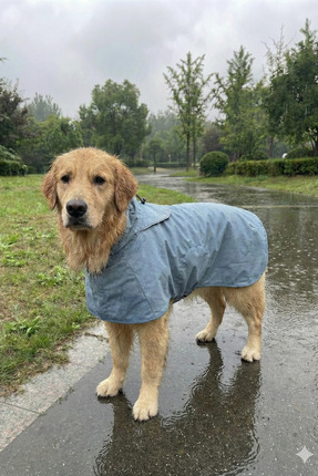 oyapet Rüzgar & Su Geçirmez Küçük ve Büyük Irk Köpekler İçin Premium Konforlu...