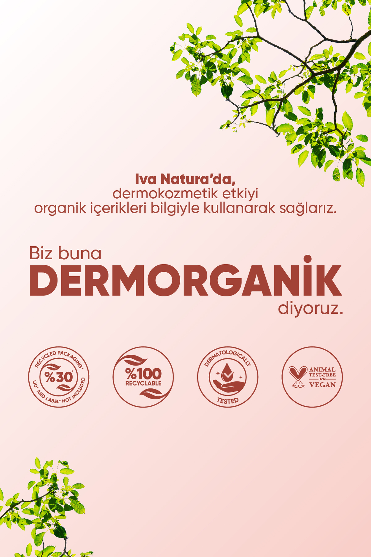Red Face Shot - Frozen Face Essence 3'lü Set (ESSENCE BİLEKLİK HAVLU BUZ KALIBI) — RedShot3 — تصویر 8 از 8