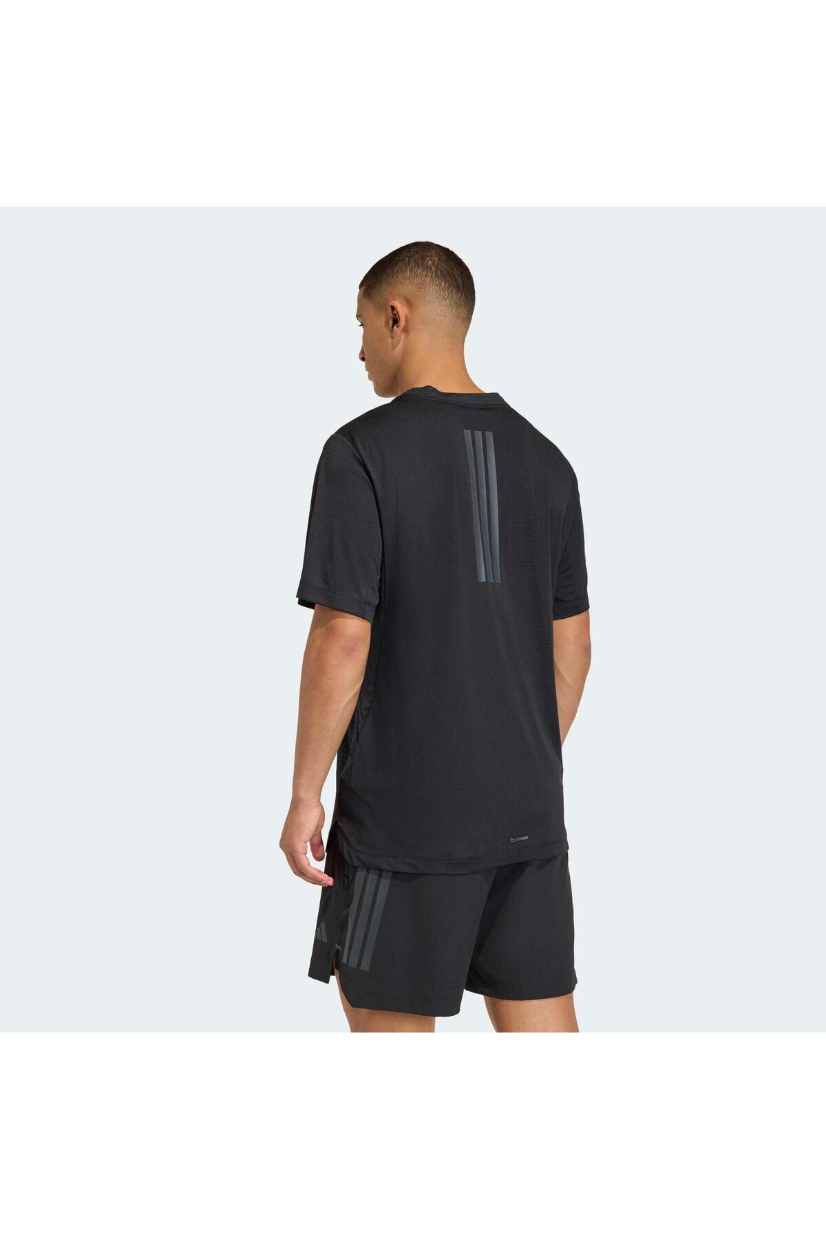 تیشرت مردانه راسته فاق نرمال | آدیداس adidas TS082 - تصویر 2