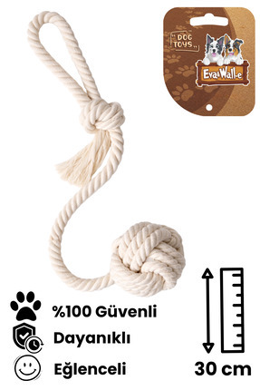 Eva & Wall-e Orta ve Büyük köpekler için dış kaşıma oyuncağı