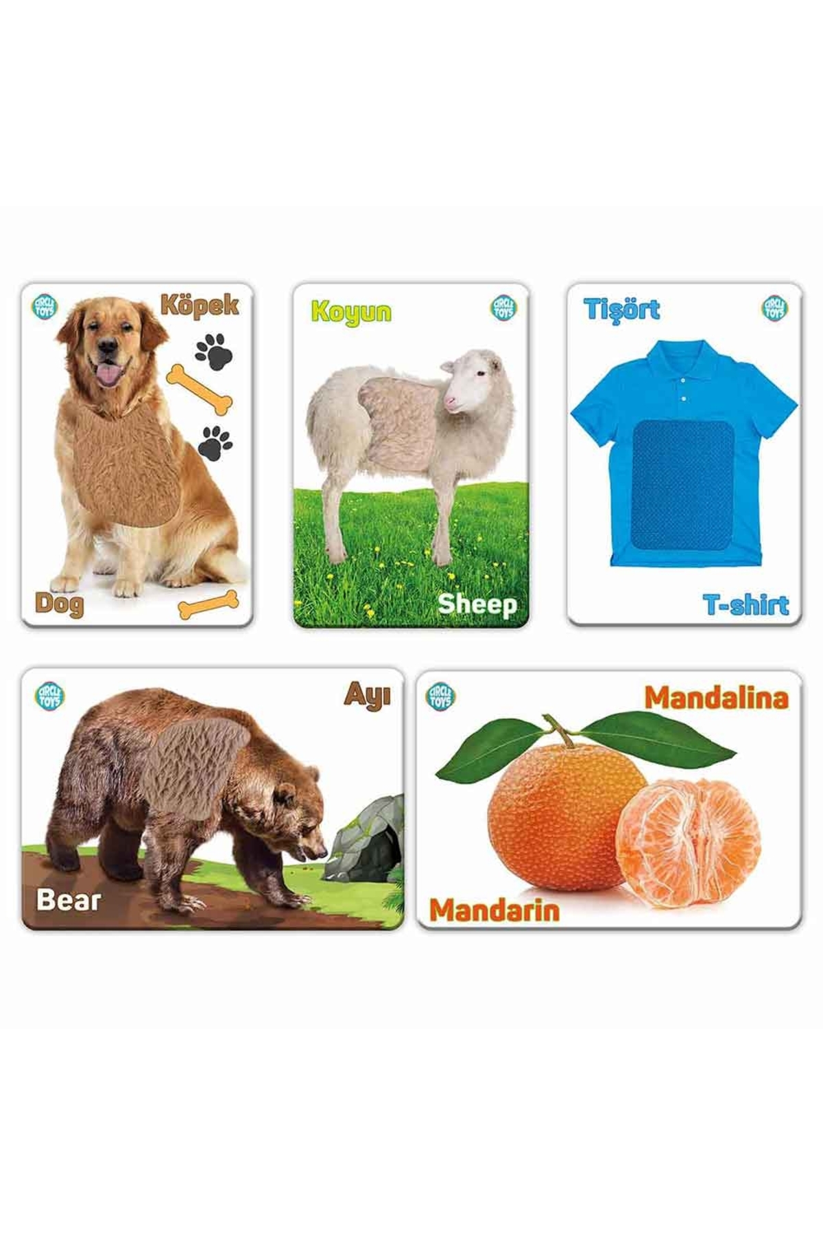 Circle Toys Dokun Hisset Tanı CRCL011 fotoğrafı 2 (önizleme)