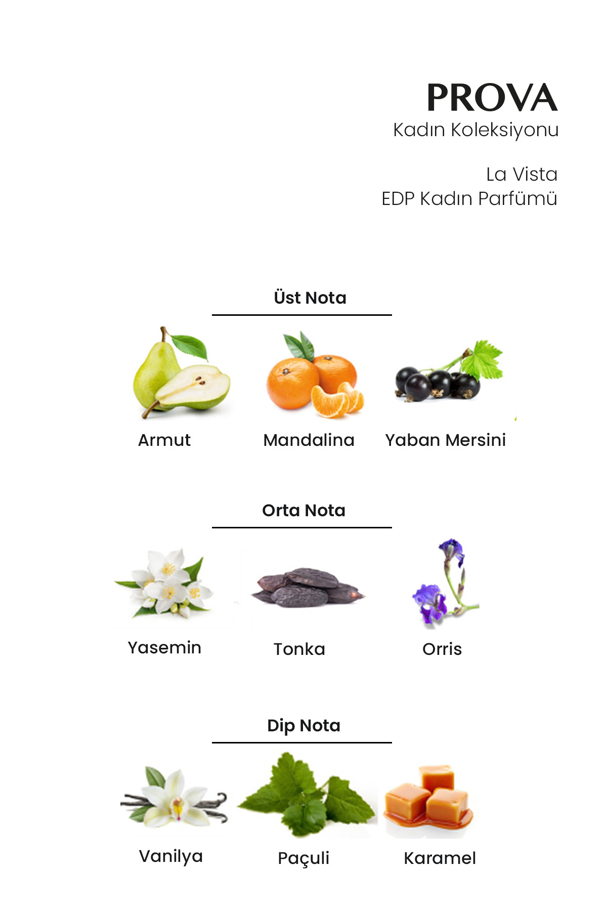 La Vista Ve L'imperial Edp Kadın Parfüm Seti — PRO8696601119665EDP — تصویر 6 از 6